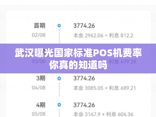 武汉曝光国家标准POS机费率你真的知道吗