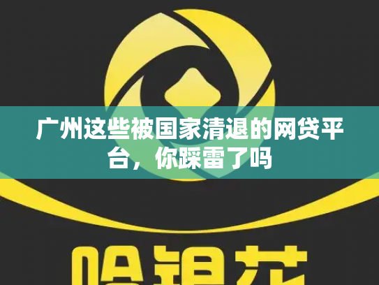 广州这些被国家清退的网贷平台，你踩雷了吗