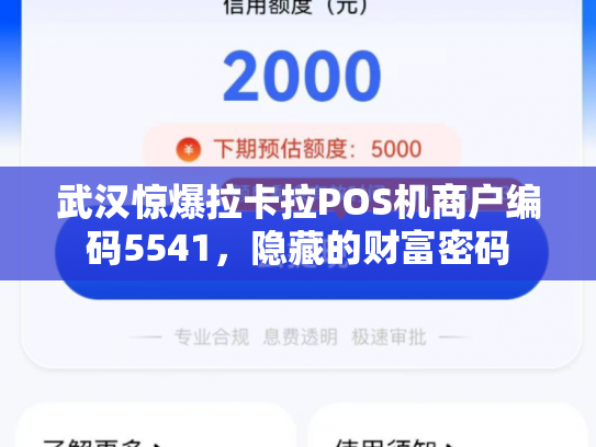 武汉惊爆拉卡拉POS机商户编码5541，隐藏的财富密码