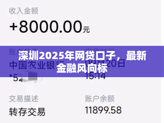 深圳2025年网贷口子，最新金融风向标