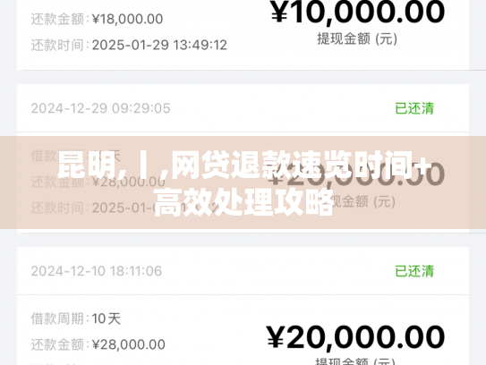 昆明,丨,网贷退款速览时间+高效处理攻略
