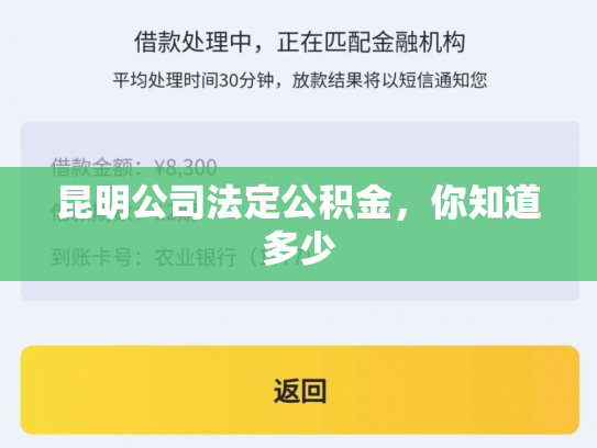 昆明公司法定公积金，你知道多少