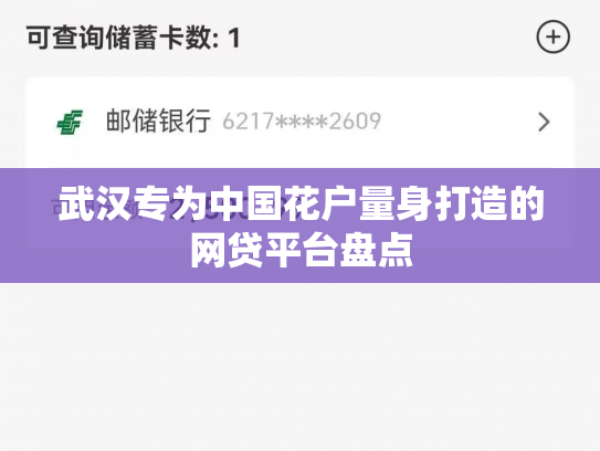 武汉专为中国花户量身打造的网贷平台盘点
