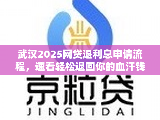 武汉2025网贷退利息申请流程，速看轻松退回你的血汗钱