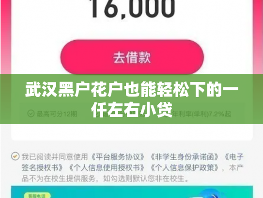 武汉黑户花户也能轻松下的一仟左右小贷