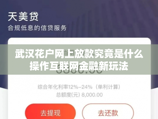 武汉花户网上放款究竟是什么操作互联网金融新玩法