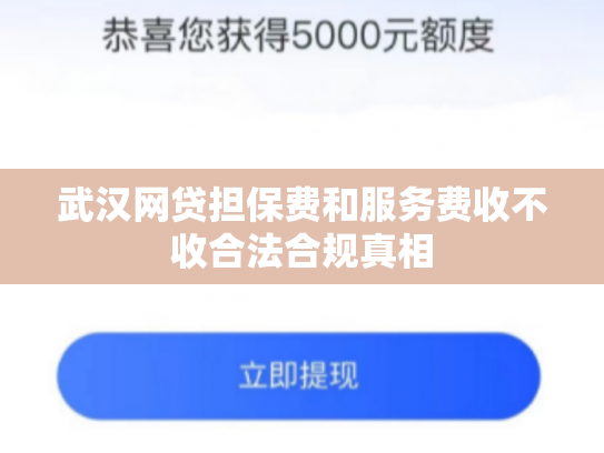 武汉网贷担保费和服务费收不收合法合规真相