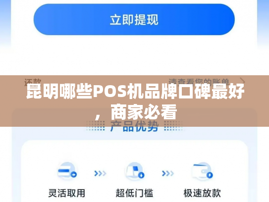 昆明哪些POS机品牌口碑最好，商家必看