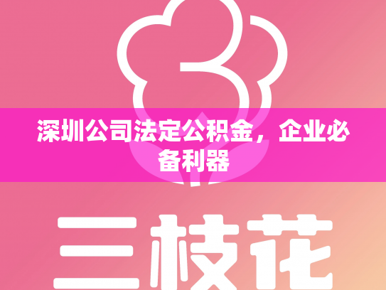 深圳公司法定公积金，企业必备利器