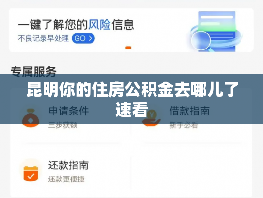 昆明你的住房公积金去哪儿了速看