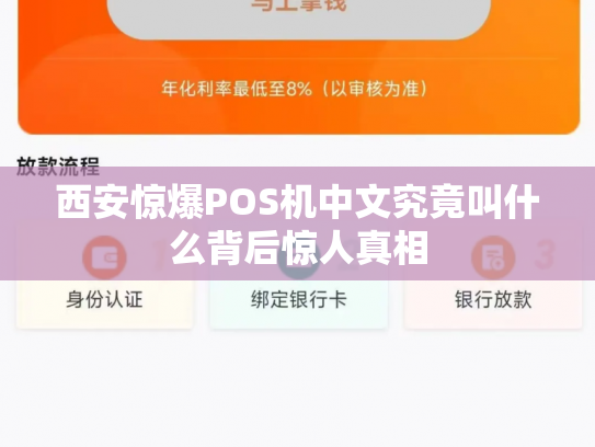 西安惊爆POS机中文究竟叫什么背后惊人真相