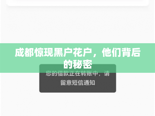 成都惊现黑户花户，他们背后的秘密