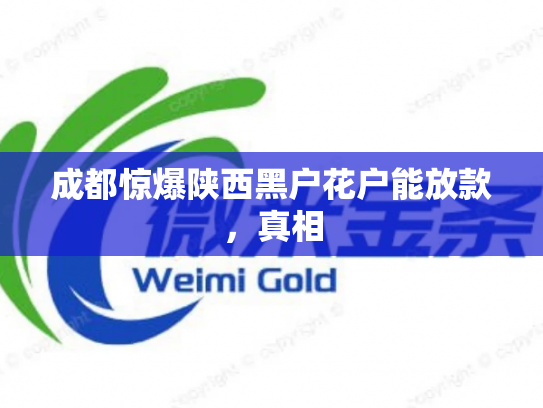 成都惊爆陕西黑户花户能放款，真相