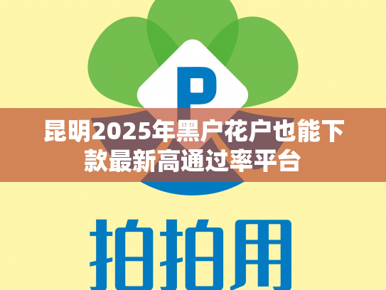 昆明2025年黑户花户也能下款最新高通过率平台