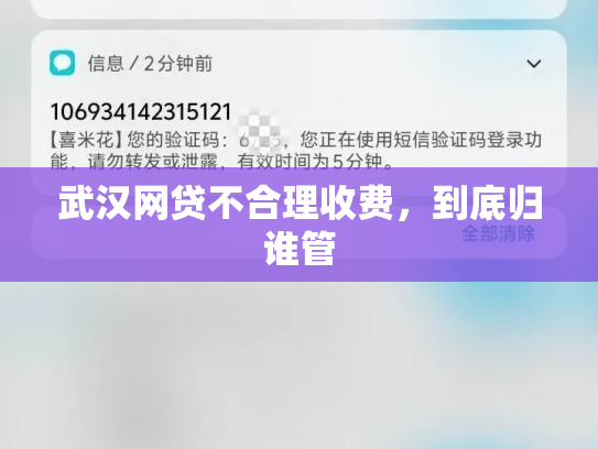 武汉网贷不合理收费，到底归谁管