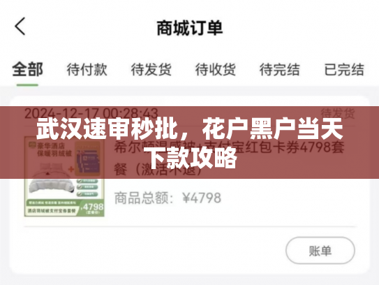 武汉速审秒批，花户黑户当天下款攻略