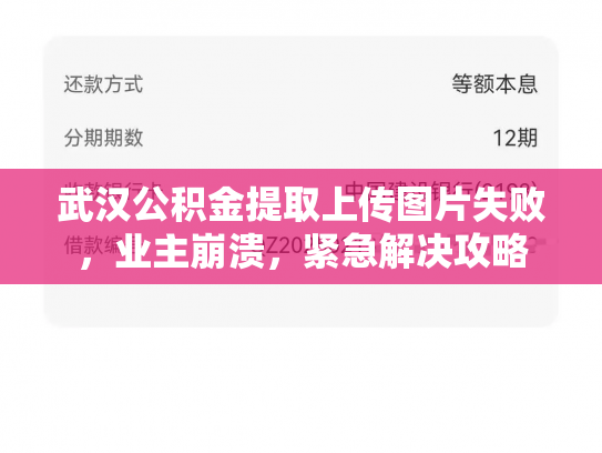 详细阅读:武汉公积金提取上传图片失败,业主崩溃,紧急解决攻略 武汉公积金提取上传图片失败,业主崩溃,紧急解决攻略