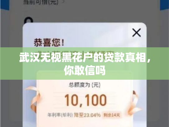武汉无视黑花户的贷款真相，你敢信吗