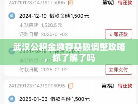 武汉公积金缴存基数调整攻略，你了解了吗