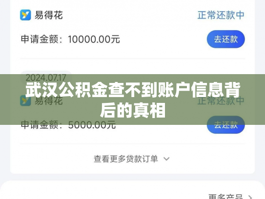 详细阅读:武汉公积金查不到账户信息背后的真相 武汉公积金查不到账户信息背后的真相