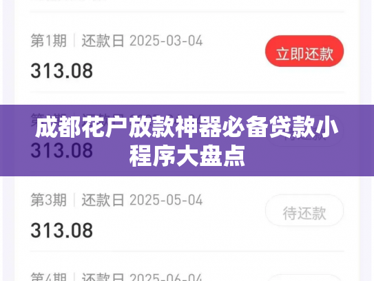 成都花户放款神器必备贷款小程序大盘点