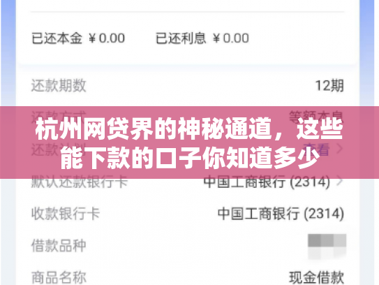 杭州网贷界的神秘通道，这些能下款的口子你知道多少