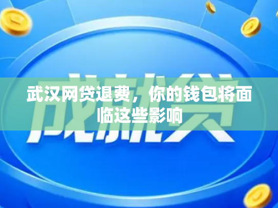 武汉网贷退费，你的钱包将面临这些影响