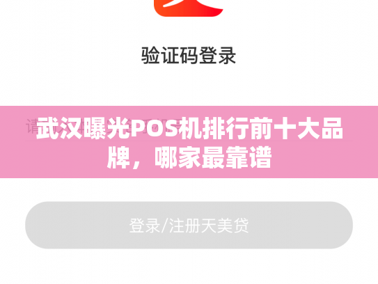 武汉曝光POS机排行前十大品牌，哪家最靠谱