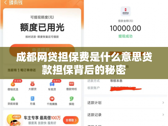 成都网贷担保费是什么意思贷款担保背后的秘密