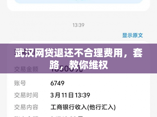 武汉网贷退还不合理费用，套路，教你维权