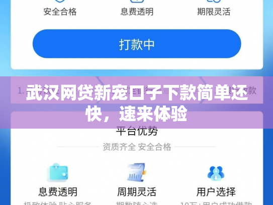 武汉网贷新宠口子下款简单还快，速来体验