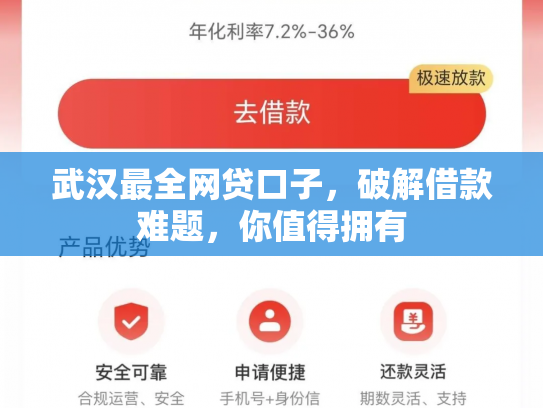 武汉最全网贷口子，破解借款难题，你值得拥有