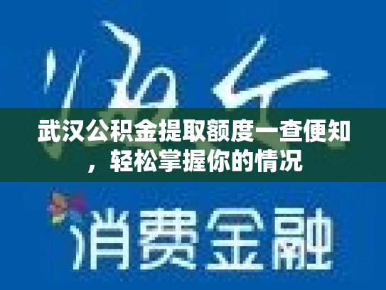 武汉公积金提取额度一查便知，轻松掌握你的情况