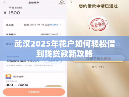 武汉2025年花户如何轻松借到钱贷款新攻略