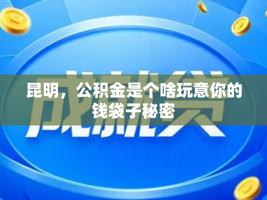 昆明，公积金是个啥玩意你的钱袋子秘密