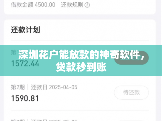 深圳花户能放款的神奇软件，贷款秒到账