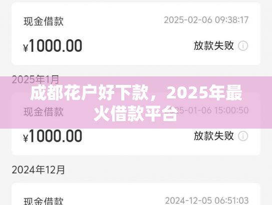 成都花户好下款，2025年最火借款平台