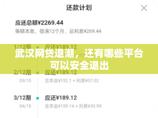 武汉网贷退潮，还有哪些平台可以安全退出