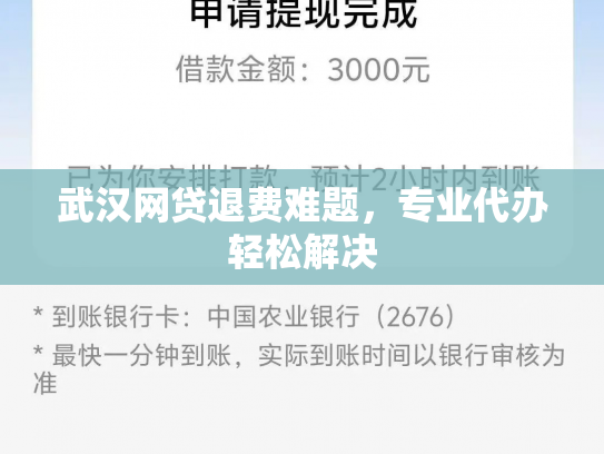 武汉网贷退费难题，专业代办轻松解决