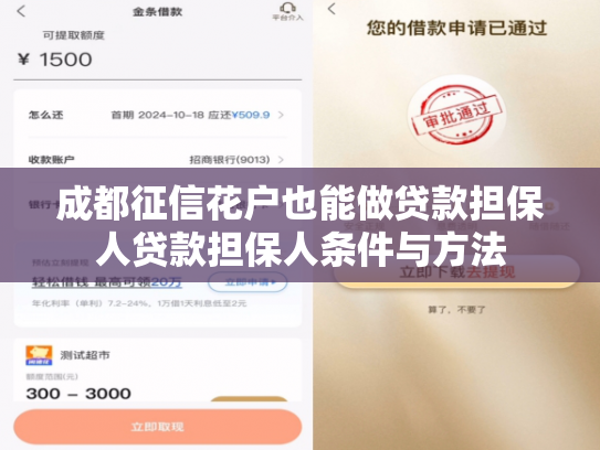 成都征信花户也能做贷款担保人贷款担保人条件与方法