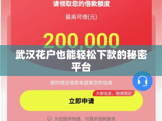 武汉花户也能轻松下款的秘密平台