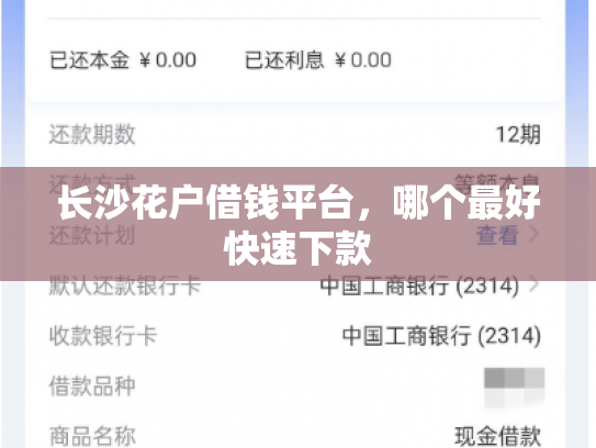 长沙花户借钱平台，哪个最好快速下款
