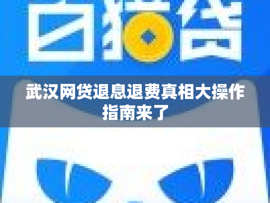 武汉网贷退息退费真相大操作指南来了