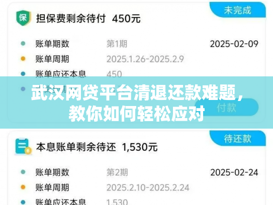 武汉网贷平台清退还款难题，教你如何轻松应对