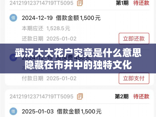 武汉大大花户究竟是什么意思隐藏在市井中的独特文化