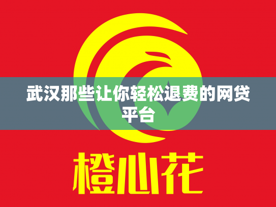 武汉那些让你轻松退费的网贷平台