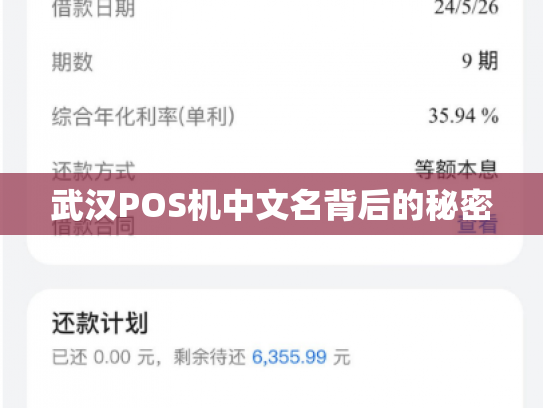 武汉POS机中文名背后的秘密