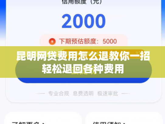 昆明网贷费用怎么退教你一招轻松退回各种费用