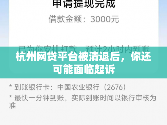 杭州网贷平台被清退后，你还可能面临起诉