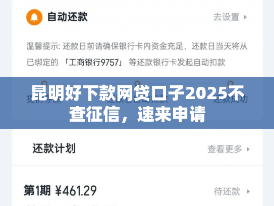 昆明好下款网贷口子2025不查征信，速来申请